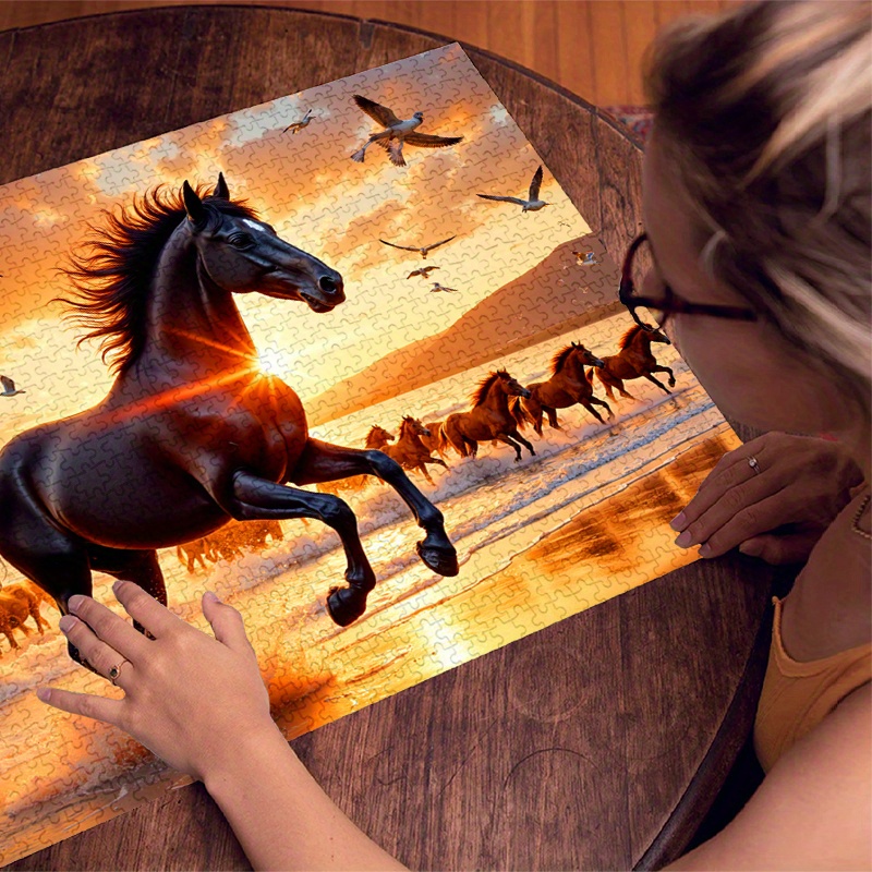 500/1000pcs Paper Puzzle: Suns - đánh giá và giá Jigsaw Puzzle Adult